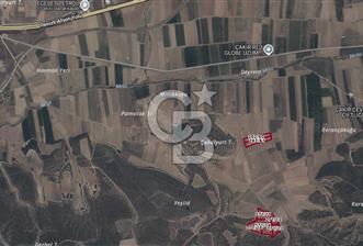 Bozkurt'ta 65 Dönüm Satılık Ceviz Tarlası - 2 - 321507