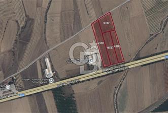 Bozkurt Ana Yol Üstü 28 Dönüm Satılık Tarla - 1 - 321484