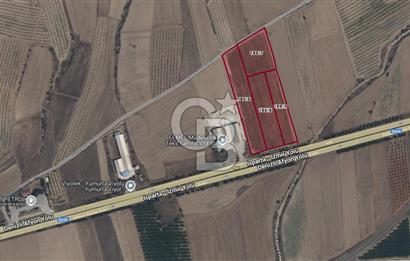 Bozkurt Ana Yol Üstü 28 Dönüm Satılık Tarla