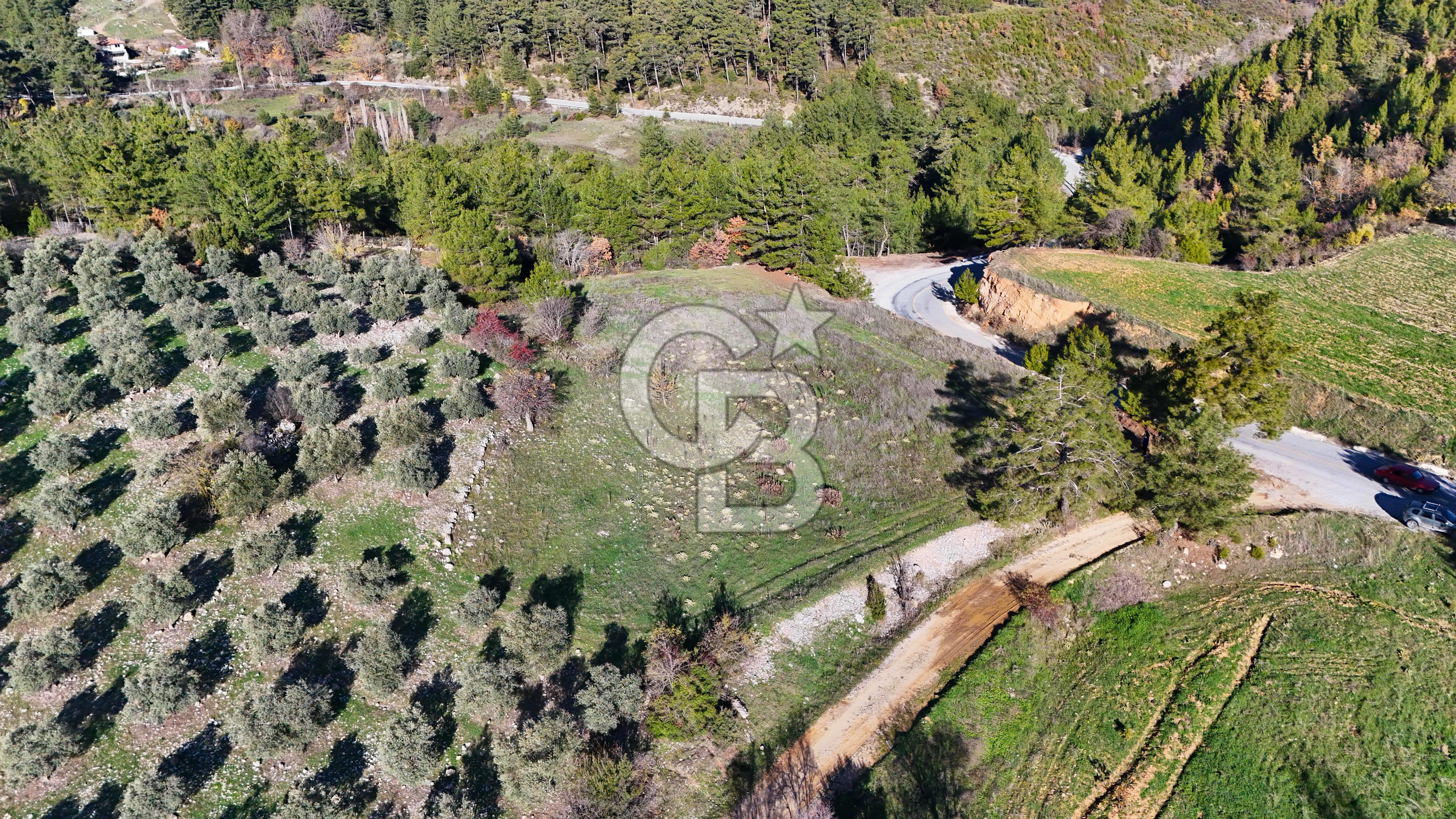 Menteşe, Algı'da Anayola Cepheli Tarla - 2212 m2