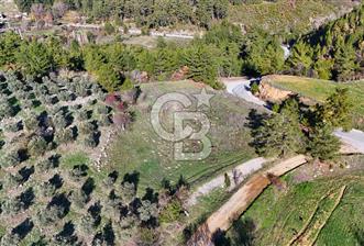 Menteşe, Algı'da Anayola Cepheli Tarla - 2212 m2 - 2 - 321518