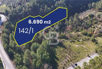 Menteşe - Yeniköy'de Yolu Olan 6690 m2 Tarla - 1 - 321519