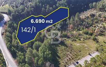 Menteşe - Yeniköy'de Yolu Olan 6690 m2 Tarla