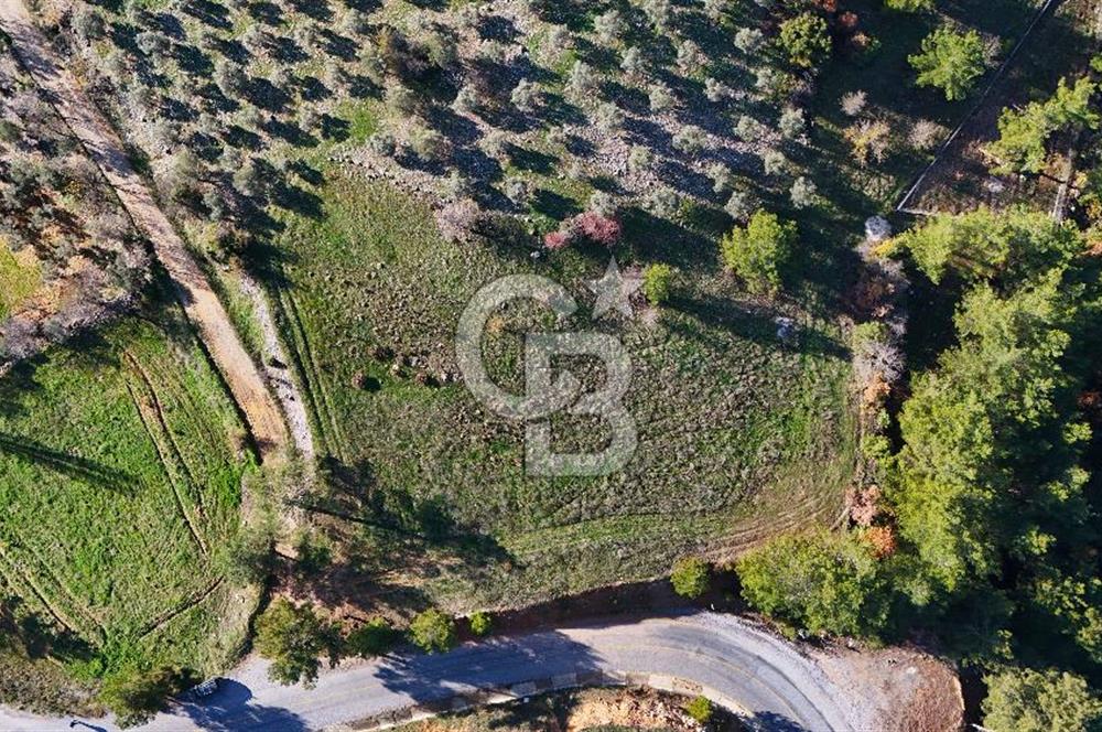 Menteşe, Algı'da Anayola Cepheli ve Köşe Konumda Tarla - 1700 m2