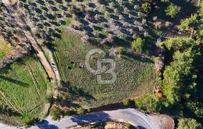 Menteşe, Algı'da Anayola Cepheli ve Köşe Konumda Tarla - 1700 m2