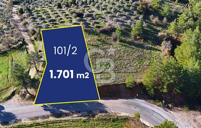 Menteşe, Algı'da Anayola Cepheli ve Köşe Konumda Tarla - 1700 m2