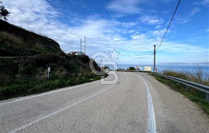 GENİŞLEYEN ÇALI YOLUNA CEPHE 6 DÖNÜM KİRALIK ARAZİ