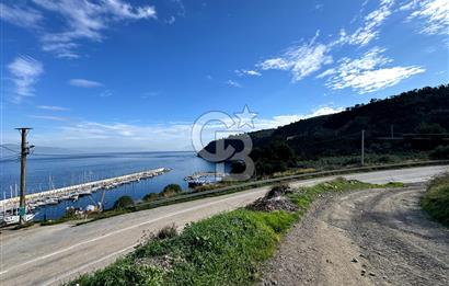 GENİŞLEYEN ÇALI YOLUNA CEPHE 6 DÖNÜM KİRALIK ARAZİ