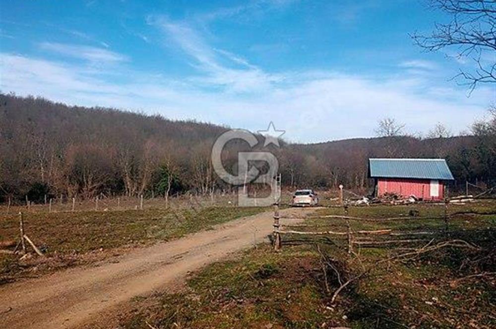 ACİL SATILIK TARLA YÜKSEK GETİRİ POTANSİYELİ DERİNCE / TOYLER