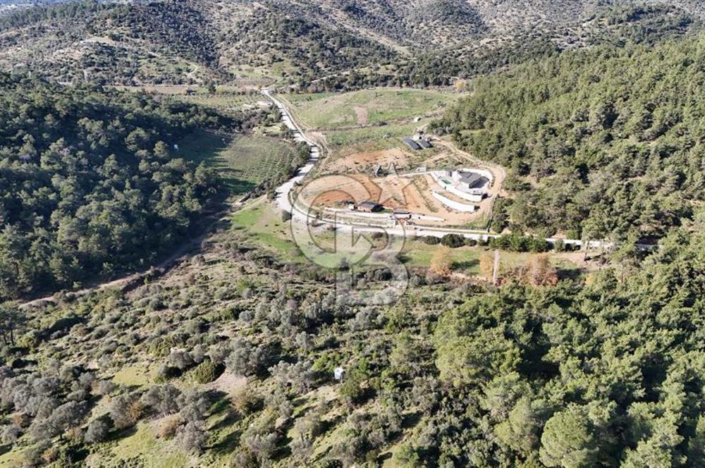 SEFERİHİSAR ORHANLIDA 2.674 m² ZEYTİN AĞAÇLI TARLA