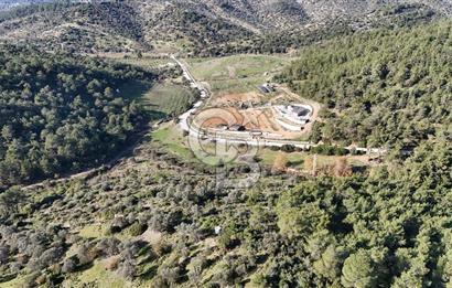 SEFERİHİSAR ORHANLIDA 2.674 m² ZEYTİN AĞAÇLI TARLA