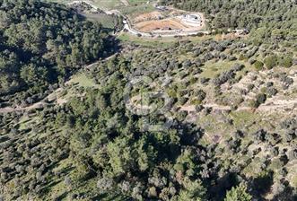 SEFERİHİSAR ORHANLIDA 2.674 m² ZEYTİN AĞAÇLI TARLA - 3 - 321583