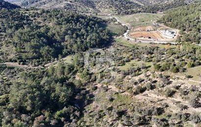 SEFERİHİSAR ORHANLIDA 2.674 m² ZEYTİN AĞAÇLI TARLA