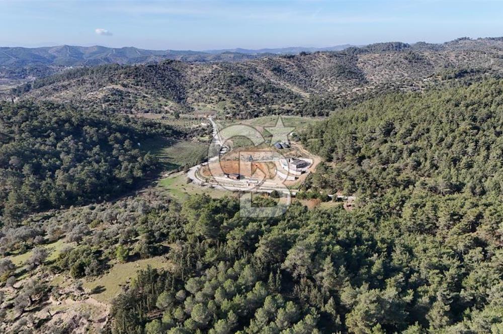 SEFERİHİSAR ORHANLIDA 2.674 m² ZEYTİN AĞAÇLI TARLA