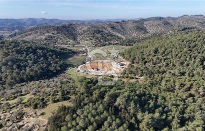 SEFERİHİSAR ORHANLIDA 2.674 m² ZEYTİN AĞAÇLI TARLA