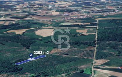 SAKARYA KAYNARCA TOPÇU 2392 M2 SATILIK FINDIK BAHÇESİ