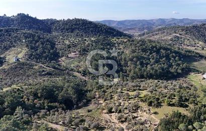 SEFERİHİSAR ORHANLIDA 2.674 m² ZEYTİN AĞAÇLI TARLA