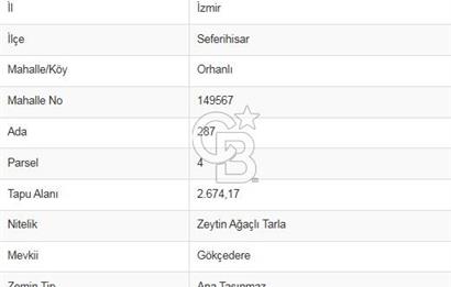 SEFERİHİSAR ORHANLIDA 2.674 m² ZEYTİN AĞAÇLI TARLA