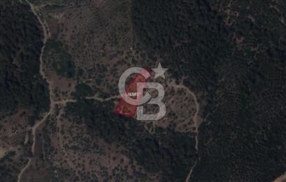 SEFERİHİSAR ORHANLIDA 2.674 m² ZEYTİN AĞAÇLI TARLA