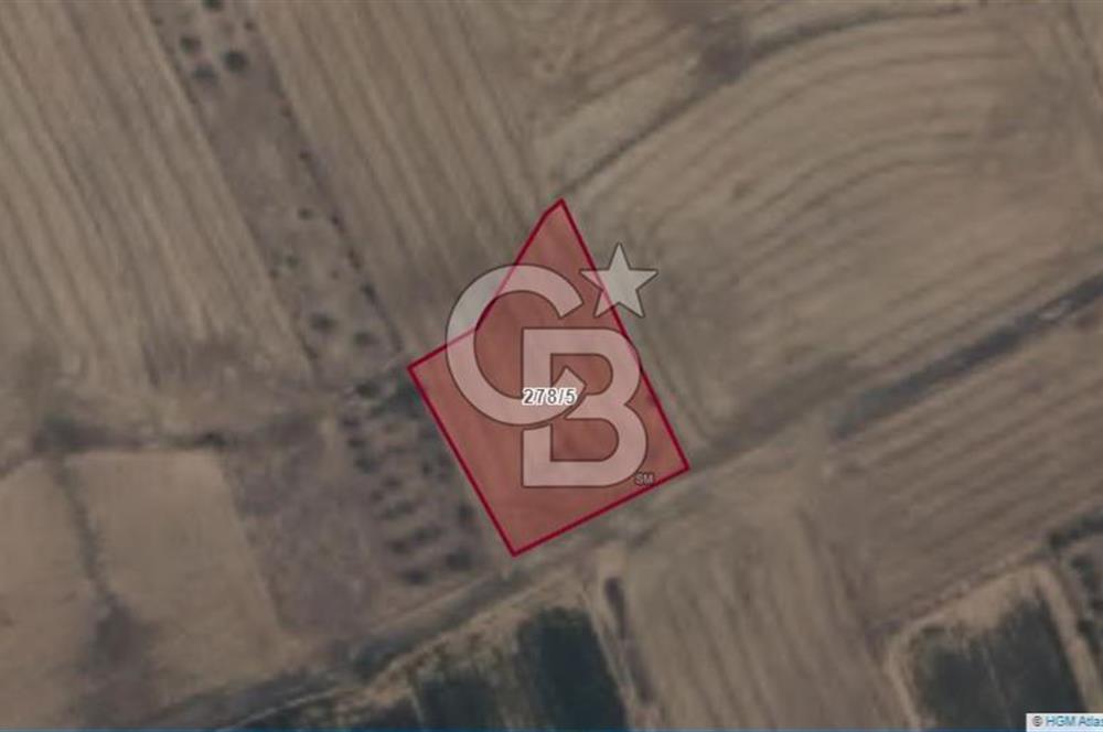 Afyon-Dazkırı Engerek Mevkinde Yola Yakın 1.380 m² Satılık Tarla