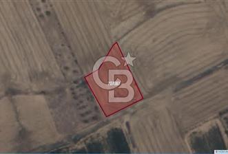 Afyon-Dazkırı Engerek Mevkinde Yola Yakın 1.380 m² Satılık Tarla - 9 - 321561