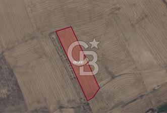 Afyon-Dazkırı Engerek Mevkinde Yola Yakın 5.223 m² Satılık Tarla - 8 - 321572