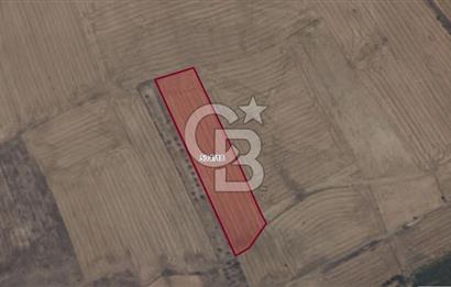 Afyon-Dazkırı Engerek Mevkinde Yola Yakın 5.223 m² Satılık Tarla