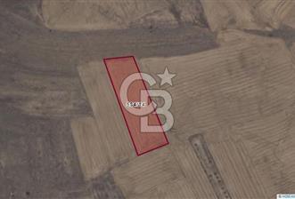 Afyon-Dazkırı Engerek Mevkinde Yola Yakın 4.398 m² Satılık Tarla - 2 - 321559