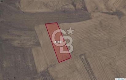 Afyon-Dazkırı Engerek Mevkinde Yola Yakın 4.398 m² Satılık Tarla