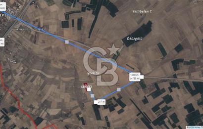 Afyon-Dazkırı Engerek Mevkinde Yola Yakın 4.398 m² Satılık Tarla