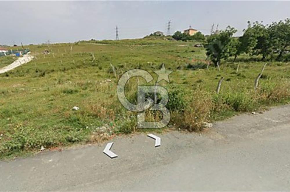 ARNAVUTKÖY TAŞOLUK MAHALLESİNDE 488 M2 SATILIK ARSA