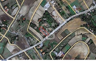 SATILIK HARAÇÇI PEGASUS'DA CADDE CEPHELİ VİLLA