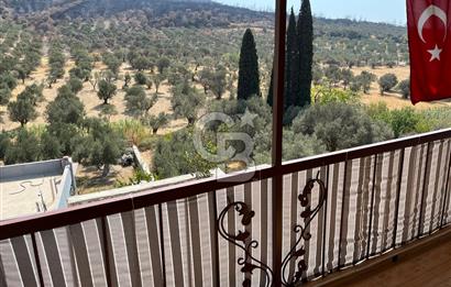 İZMİR FOÇA YENİKÖYDE SATILIK BAHÇELİ İMARLI KÖY EVİ