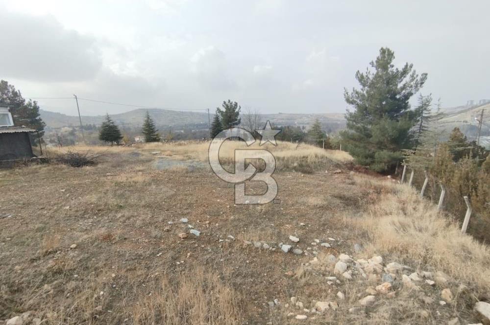 COLDWELL BANKER SAFİR'dn MOLLAKASIM da VİLLA İMARLI SATILIK ARSA