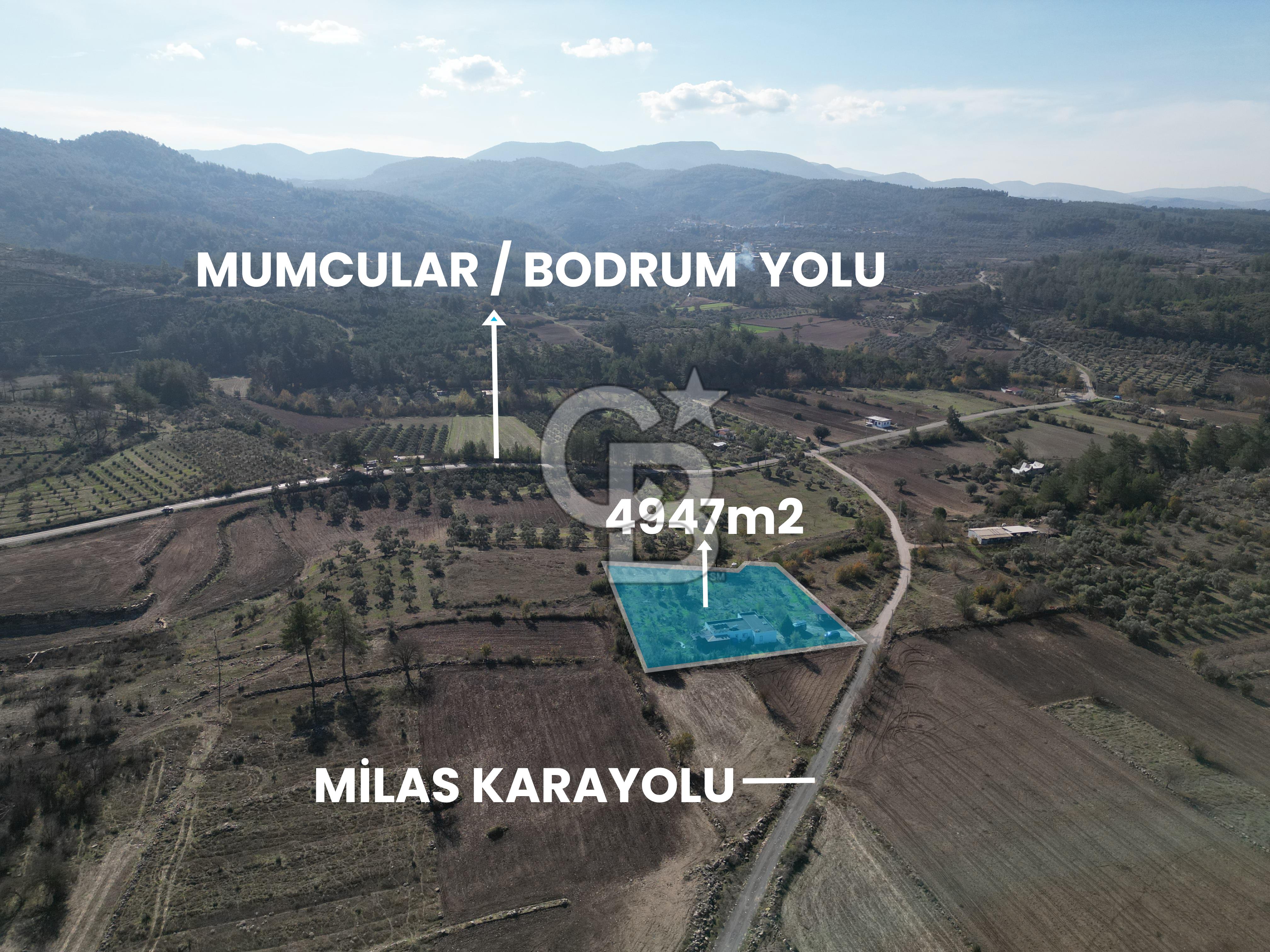 MUĞLA - MİLAS KARACAHİSAR MH. SATILIK 4.947 M² TARLA