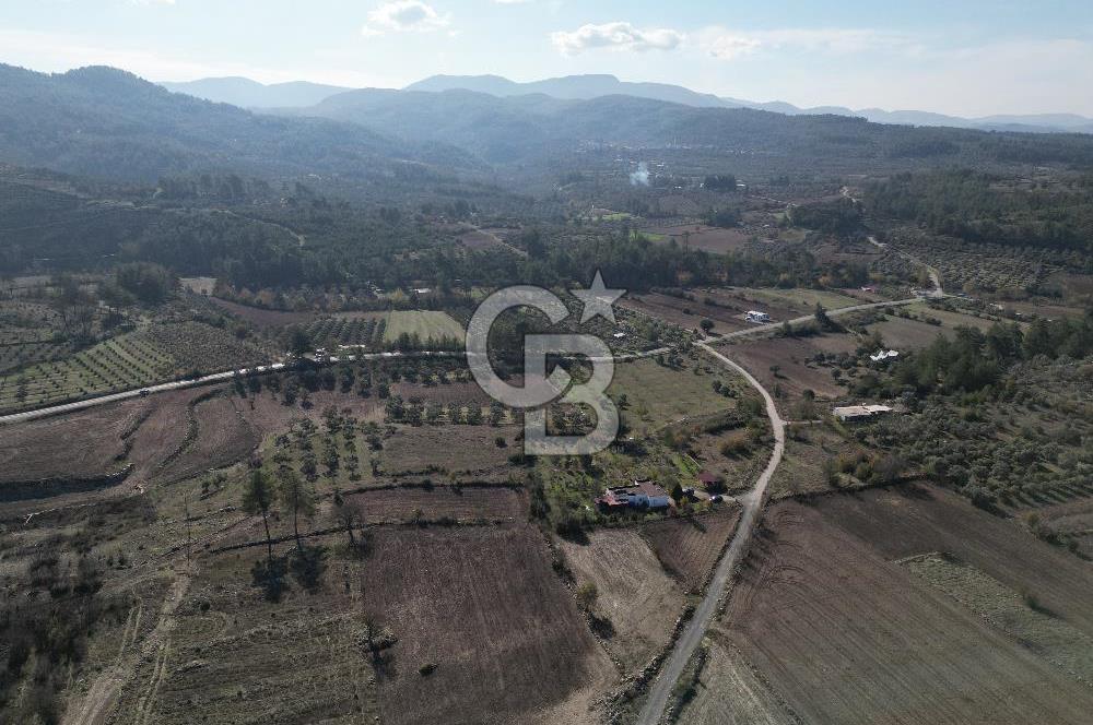 MUĞLA - MİLAS KARACAHİSAR MH. SATILIK 4.947 M² TARLA