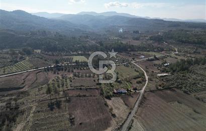 MUĞLA - MİLAS KARACAHİSAR MH. SATILIK 4.947 M² TARLA