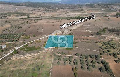 MUĞLA - MİLAS KARACAHİSAR MH. SATILIK 4.947 M² TARLA