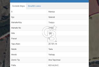 MANİSA - SELENDİ SATILIK 20.181 m² TARLA - 6 - 321604
