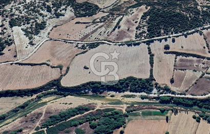 MANİSA - SELENDİ SATILIK 20.181 m² TARLA