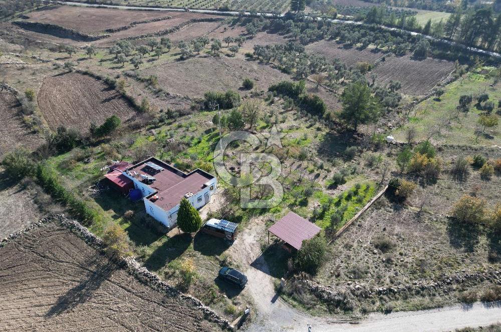 MUĞLA - MİLAS KARACAHİSAR MH. SATILIK 4.947 M² TARLA