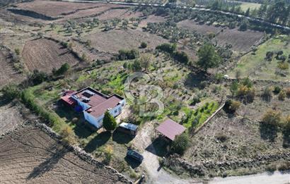 MUĞLA - MİLAS KARACAHİSAR MH. SATILIK 4.947 M² TARLA