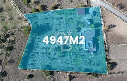 MUĞLA - MİLAS KARACAHİSAR MH. SATILIK 4.947 M² TARLA