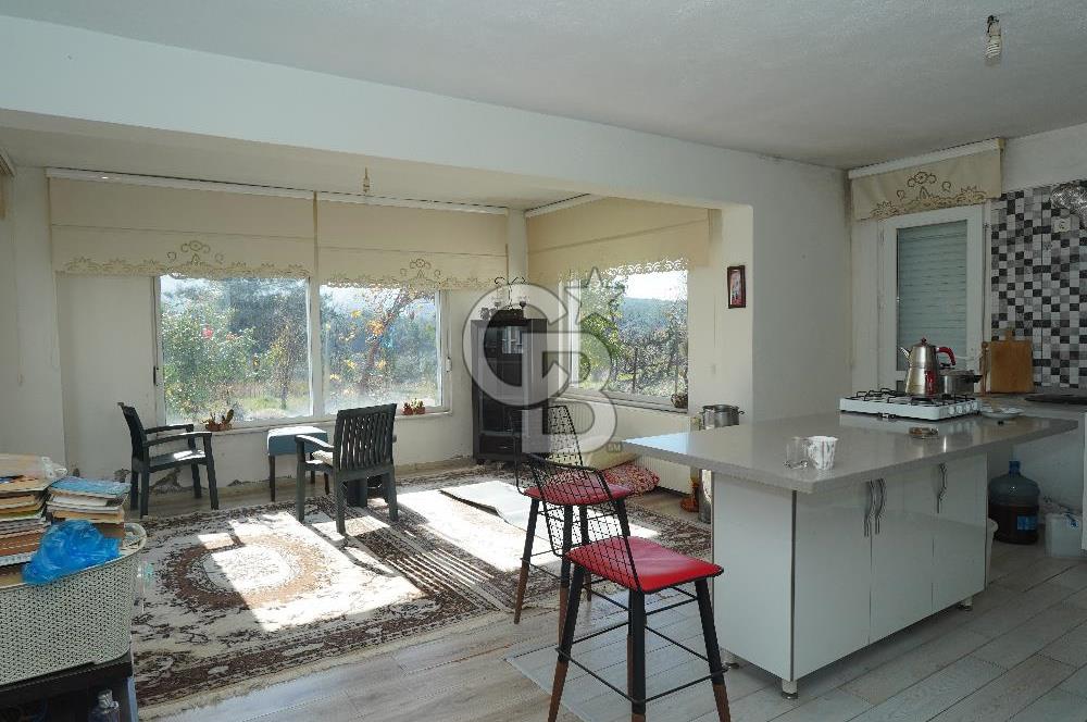 MUĞLA - MİLAS KARACAHİSAR MH. SATILIK 4.947 M² TARLA