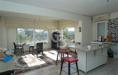 MUĞLA - MİLAS KARACAHİSAR MH. SATILIK 4.947 M² TARLA