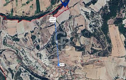 MANİSA - SELENDİ SATILIK 10.888 m² TARLA