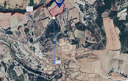 MANİSA - SELENDİ SATILIK 20.181 m² TARLA