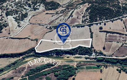 MANİSA - SELENDİ SATILIK 10.888 m² TARLA