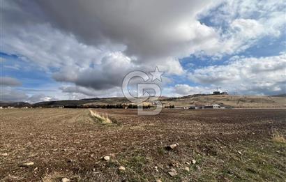 CB VİZYON GÖKHAN KORAL'DAN GERDER TOKİ YAKINI SATILIK ARAZİ