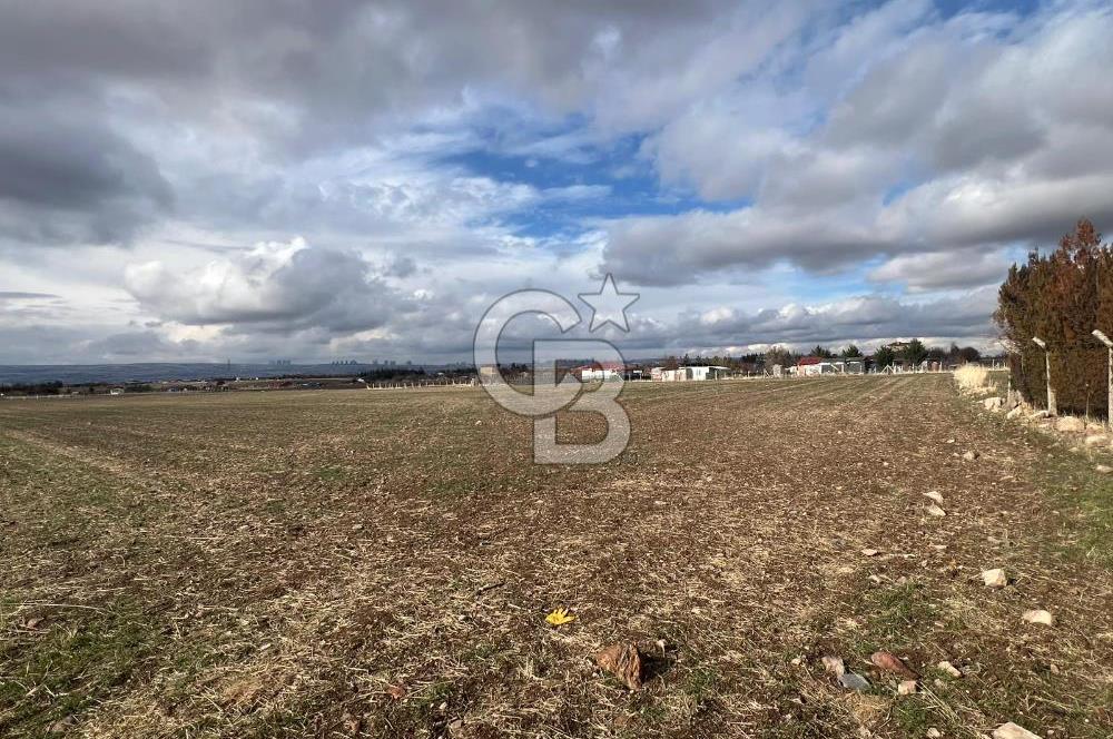 CB VİZYON GÖKHAN KORAL'DAN GERDER TOKİ YAKINI SATILIK ARAZİ